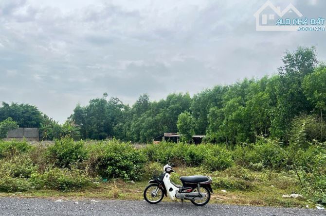 XT272 CHO THUÊ ĐẤT & XÂY DỰNG THEO NHU CẦU KHÁCH HÀNG.