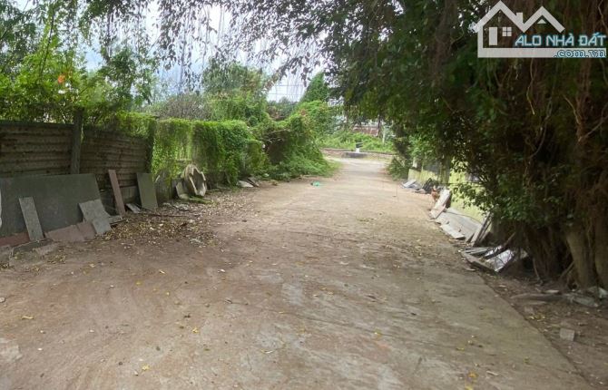 CC bán lô đất kiệt 5m - Thôn Dương Sơn, Hòa Châu ( Hòa Xuân ), Đà Nẵng