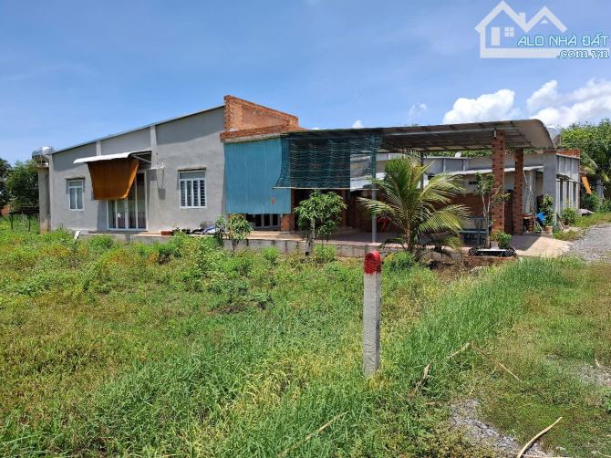 6x60 nở hậu, đất phù hợp thổ cư. Dân cư đông. 3xxtr