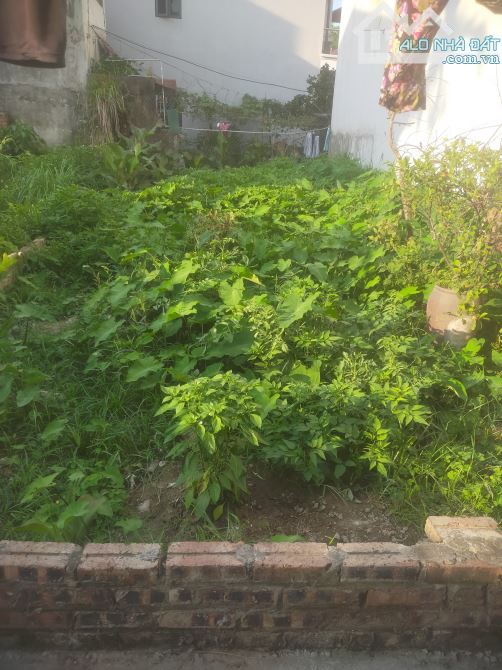 148.3 CỔ DƯƠNG TIÊN DƯƠNG ĐA HN VỊ TRÍ VÀNG SINH LỜI CỰC LỚN DT 48M2 CHỈ GIÁ 4xty - 1