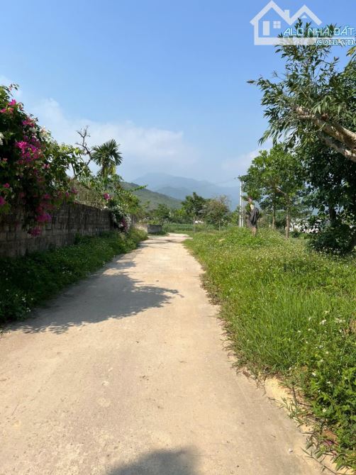 Bán 1740m đất Bồ Lý Tam Đảo mặt tiền 50m đường thông giá ngọt 4,x tỷ mời ae phân lô