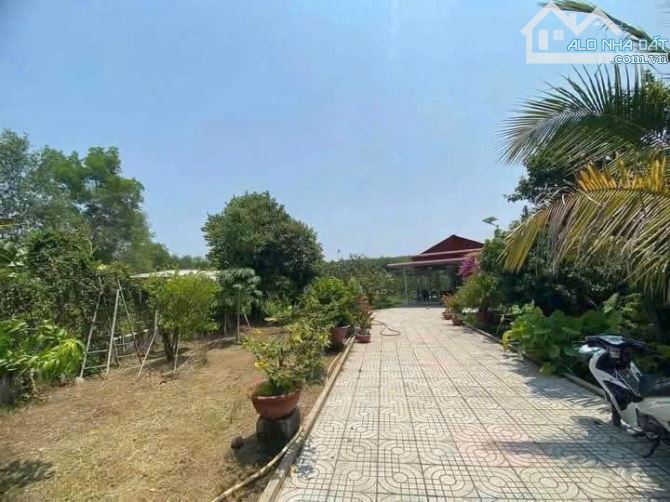 Bán nhà vuòn sổ riêng Bình Lợi Vĩnh Củu