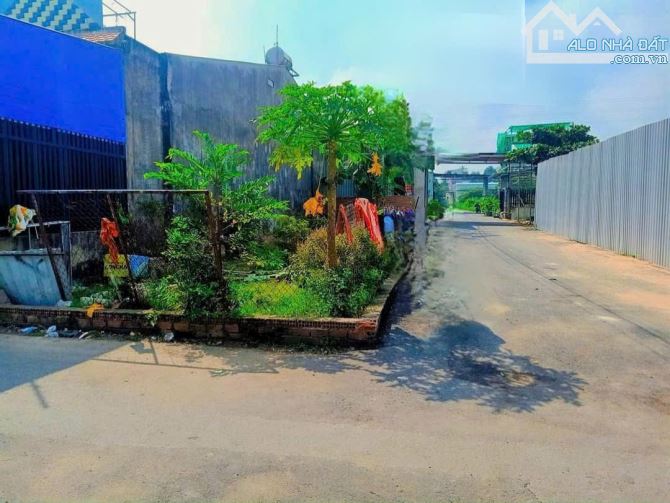 Bán đất mặt tiền Nguyễn Duy Trinh-Phú Mỹ-Vũng Tàu 100M2, 40 Thổ Cư, chỉ 2.5 tỷ