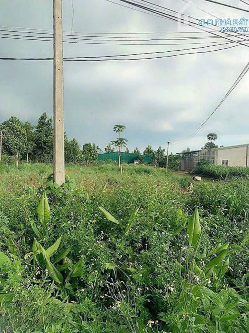 Đất mặt tiền đường nhựa trục chính khối 15 phường Khánh Xuân