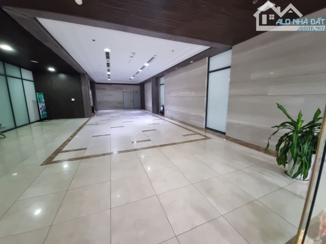 BQL cho thuê văn phòng tòa Mỹ Đình Plaza 2 Nguyễn Hoàng, Nam Từ Liêm 262m2 giá 11 - 11