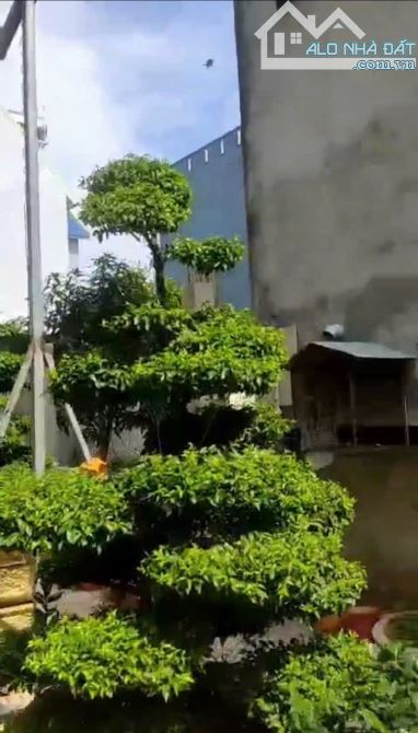 Kẹt tiền bán gấp nhà mặt tiền đường Lý Nhơn, xã Lý Nhơn, Cần Giờ - 11