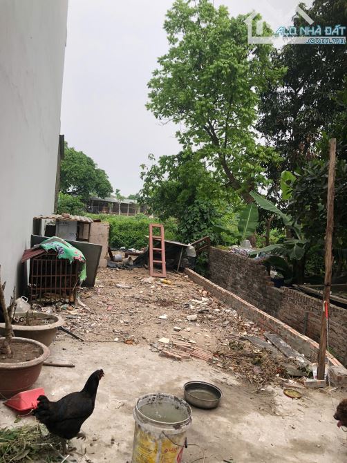 Bán đất Cổ Bi, Gia Lâm, ô tô vào đất, giá quanh 75tr/m2 - 1