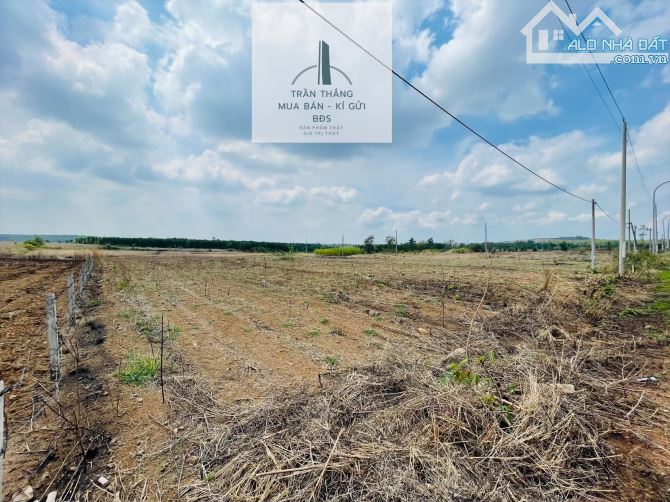 Bán Đất MT Xuân Sơn - Đá Bạc Thích Hợp Làm Xưởng, Kho Bãi. - 1