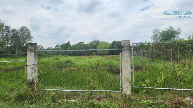 Bán nhanh lô đất 7000m2 Tân Tạo A. Bình Tân - 1