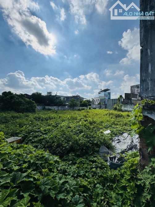 Bán nhanh siêu phẩm đất 2160m2 Tô Ký . Hóc môn - 1