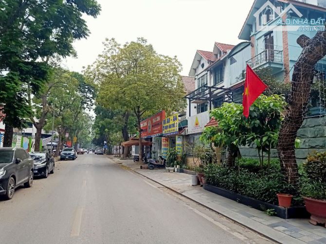 Cho thuê biệt thự Mỹ Đình 2 vị trí đẹp trục chính giá 50 triệu/tháng - 1