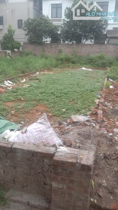 CẦN BÁN 60M ĐẤT TẠI XÃ NAM HỒNG HUYỆN ĐÔNG ANH HÀ NỘI ĐƯỜNG THÔNG Ô TÔ ĐỖ CỬA - 1