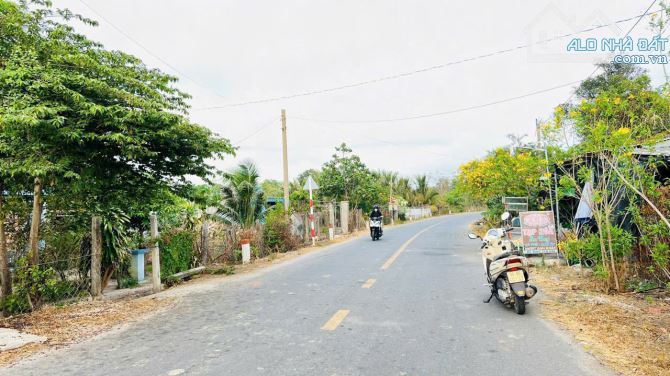 ĐẤT ĐẸP CHỦ GỐC CHƯA QUA ĐẦU TƯ NÊN GIÁ SIÊU TỐT Ạ PHƯỚC HỘI - ĐẤT ĐỎ - BRVT - 1