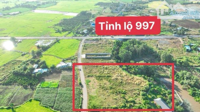 5276m2 ngay mặt hồ lồ ô- long tân giá 7 tỷ 700 - 1