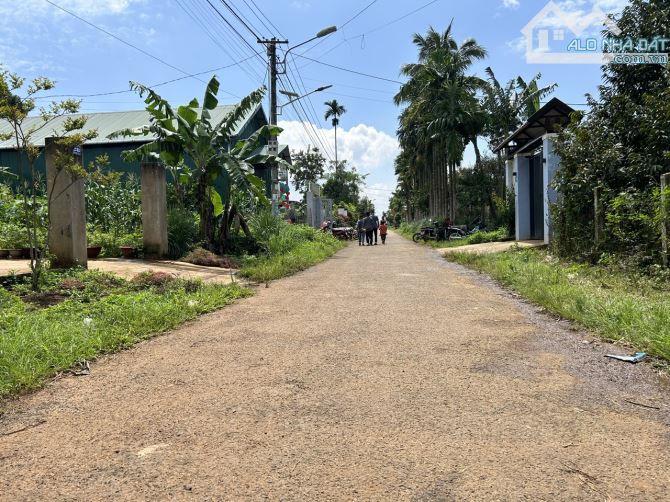 🅿️❇️LÔ CHÂN DÀI EATU, MẶT TIỀN ĐƯỜNG KA1, VÀNH ĐAI QL14-QL26, 1,690 TỶ, 5mx47m❇️ - 1