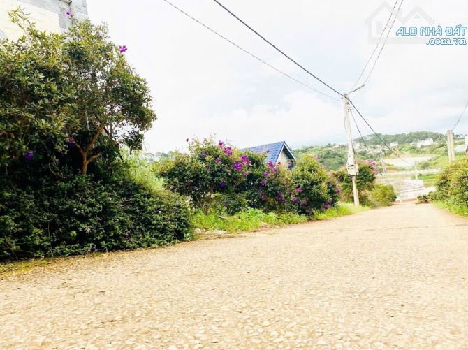 Bán đất Xuân Thọ - Đà Lạt 🌲500m giá 6 Tỷ 5- hiện là Đất Nông Nghiệp- QH lên đất ở - 1