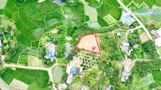 1445m Có 100m Đất Ở - View Cánh Đồng Siêu Đẹp - Đất Cao Thoáng - Cách Tỉnh Lộ 448 Có 500m - 1