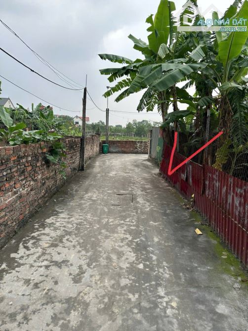 🔥Bán Đất Lõi Vệ Tinh Mai Đình Sóc Sơn 99m Full Thổ Cư 31tr/1m2 - 1
