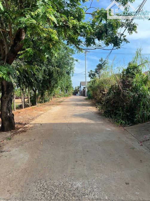 Bán đất mặt tiền đường K thôn 3 cuwebur bmt Qua vành đai thích hợp xây nhà ở 1 tỷ 230 - 1