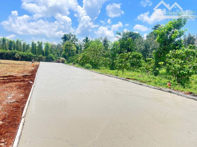 Bán lốc 15 lô Hoà Đông hẻm C1 đường Hồ Chí Minh - 1