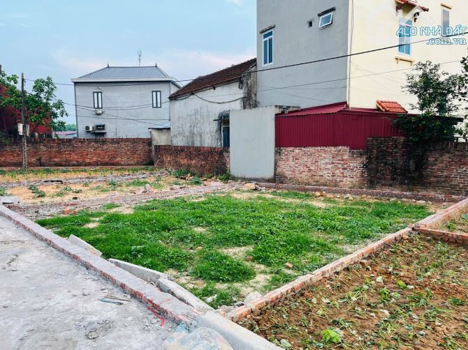 Chính Chủ bán đất Xuân Đồng, Tân Minh 80m2 full thổ cư ô tô ngủ đất giá 1,6 tỷ - 1