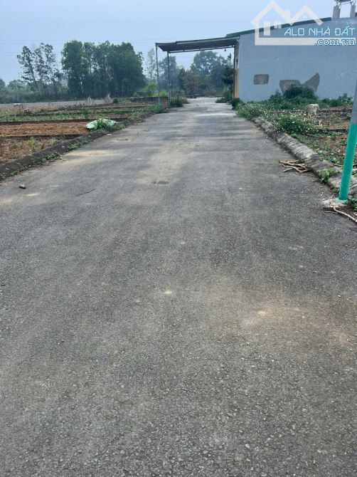 🔥 Bán lô đất 62 m Cánh Chủ - Bình Yên- Thạch Thạch vị trí siêu đẹp - 1