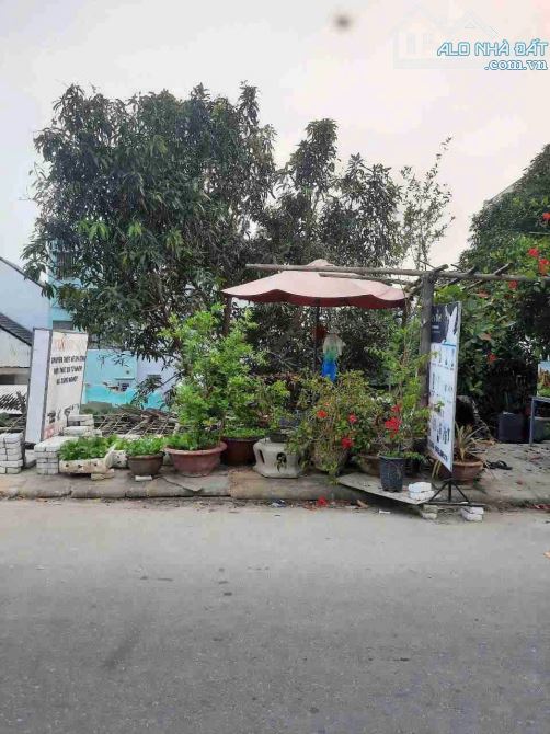 BÁN ĐẤT MẶT TIỀN NGUYỄN ĐÌNH CHIỂU – KHUÊ MỸ, NGŨ HÀNH SƠN - 1