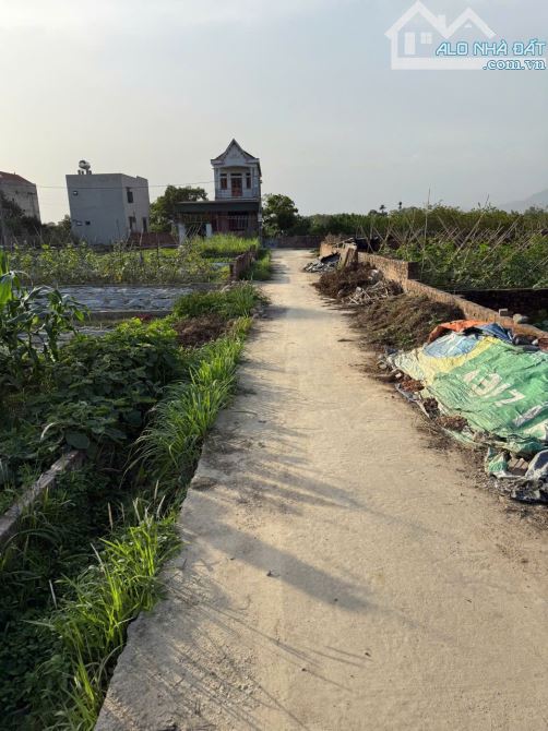 Bán đất thôn Bắc Thượng, Quang Tiến, Sóc Sơn, HN. Gần đường DT 131 và sân bay Nội Bài - 1