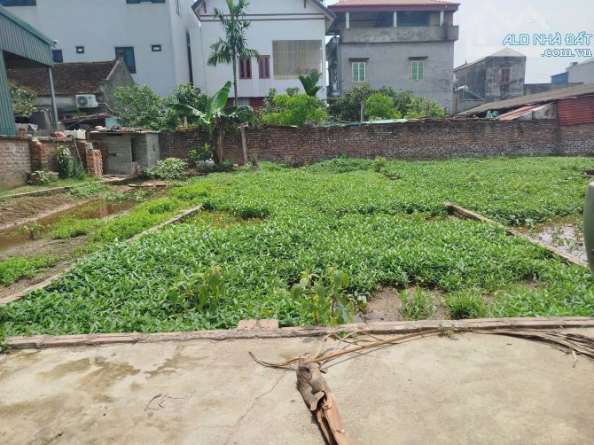 BÁN NHANH NÊN GIÁ MỀM HƠN BÚN 48M XUÂN NỘN ĐÔNG ANH ĐƯỜNG RỘNG 6M - 1