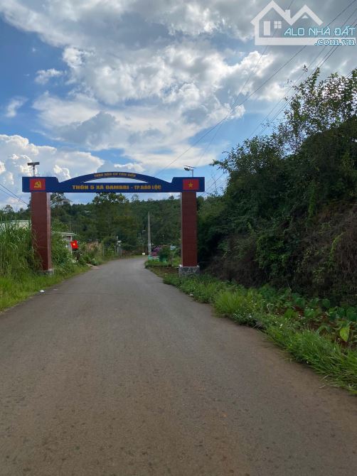 Đất đẹp sẵn thổ cư tại Nguyễn An Ninh, Xã Đam Bri, Bảo Lộc, Lâm Đồng với diện tích 264m2, - 1