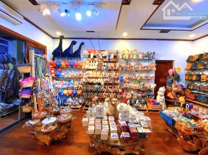 Biệt thự Giảng Võ siêu VIP không gian đẹp 162m2, 5 tầng, mt 9m, 86 tỷ lô góc ô tô tránh - 1
