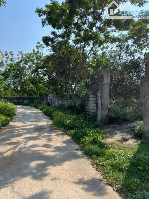 Bán 1740m đất Bồ Lý Tam Đảo mặt tiền 50m đường thông giá ngọt 4,x tỷ mời ae phân lô - 1