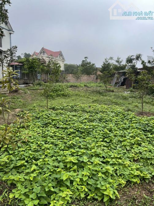 Bán 300m2 đất tại Tân Hương, Phổ Yên, Thái Nguyên - 1