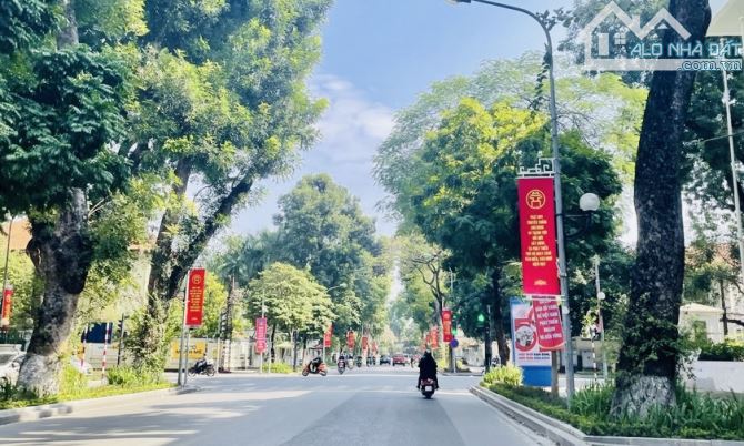Bán nhà MP Điện Biên Phủ, Nguyễn Tri Phương. 47m2 x 3T, MT 7m, lô góc, oto. 42,39 tỷ. - 1