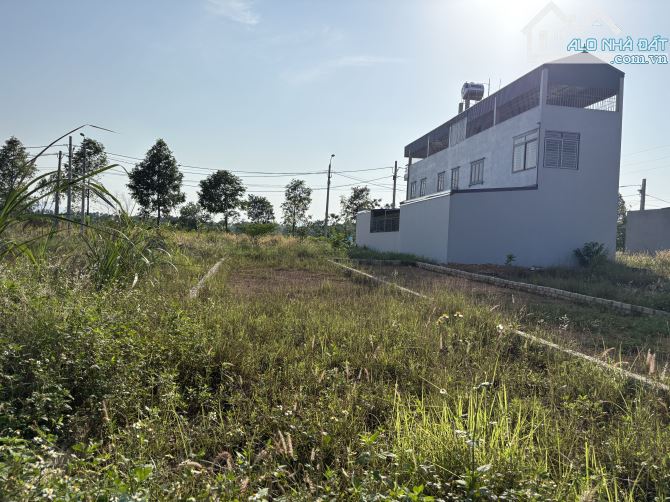 Đất tái định cư Đại học Quốc gia Hà Nội – Giá rẻ hơn cả cà phê sáng! 100m² “Vị trí vàng