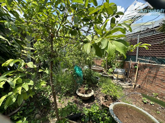 Bán lô đất sổ riêng tân hiệp 175m2 giá tốt hẻm 2 xe hơi quá lẻ luôn - 2