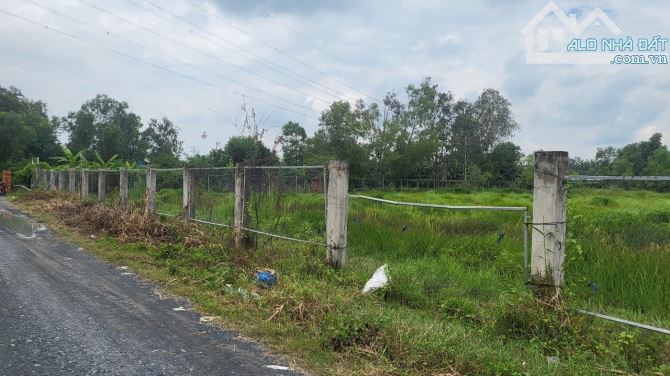 Bán nhanh lô đất 7000m2 Tân Tạo A. Bình Tân - 2