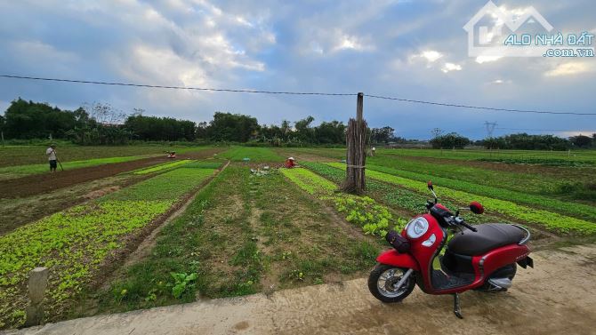 Đất trồng cây hằng năm view sông thăng long, 300m2 - 2