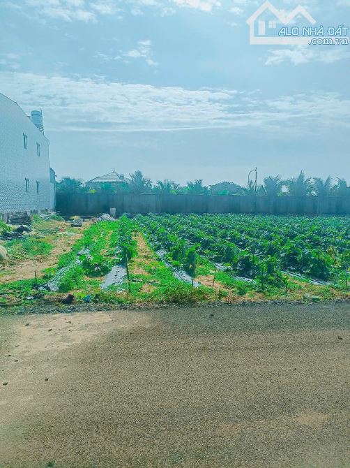 LÔ ĐẤT ĐẸP BIỂN HỒ TRÀM, NGAY SAU LƯNG KHÁCH SẠN LỚN NHẤT HỒ TRÀM, GIÁ CỰC KỲ HẤP DẪN - 2
