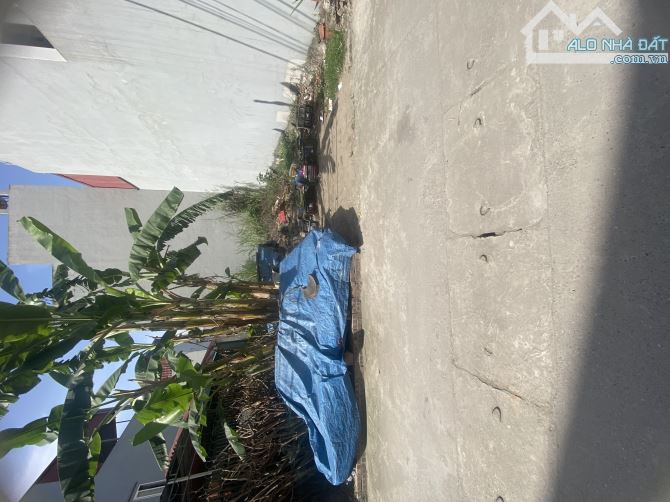 ĐÔNG HỘI Ô TÔ TRÁNH 60m2 sát chợ và bìa làng - 2