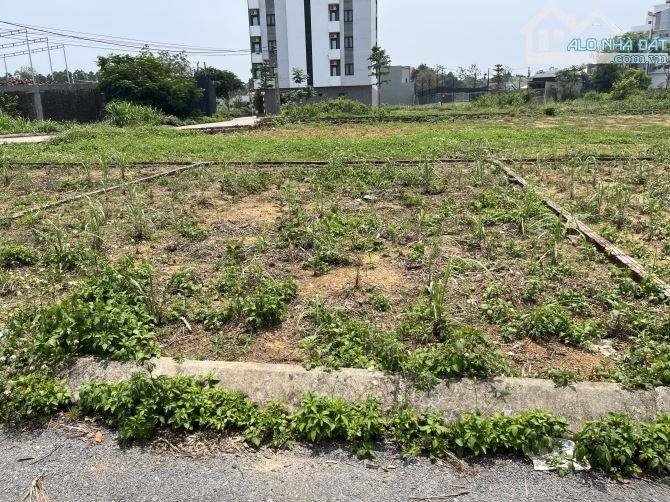 🔥 Bán lô đất 62 m Cánh Chủ - Bình Yên- Thạch Thạch vị trí siêu đẹp - 2
