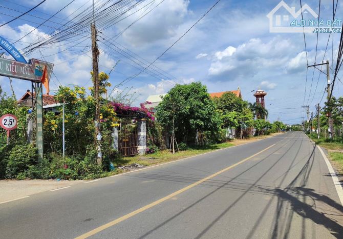 Bán đất Tân Triều - Sổ riêng thổ cư 100% - 2