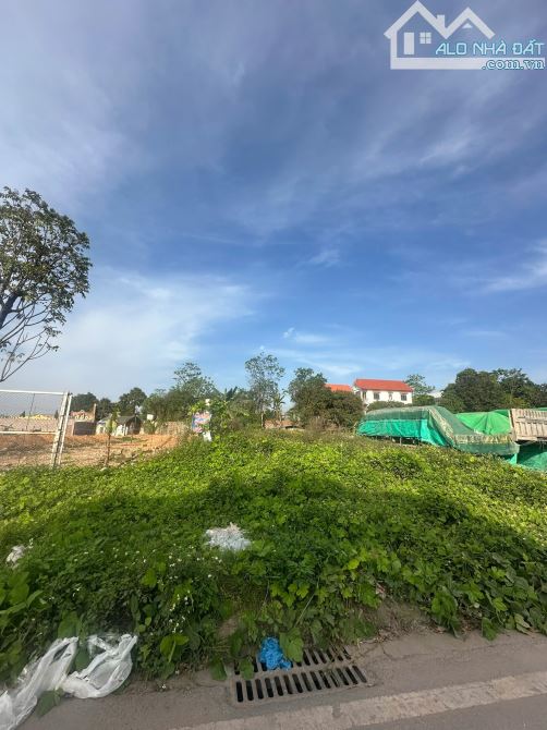 Ông bà chuyển về quê nên cần bán ô đất 200m2 Băng 1 Vũ Thê Lang - Thanh Miếu - 2
