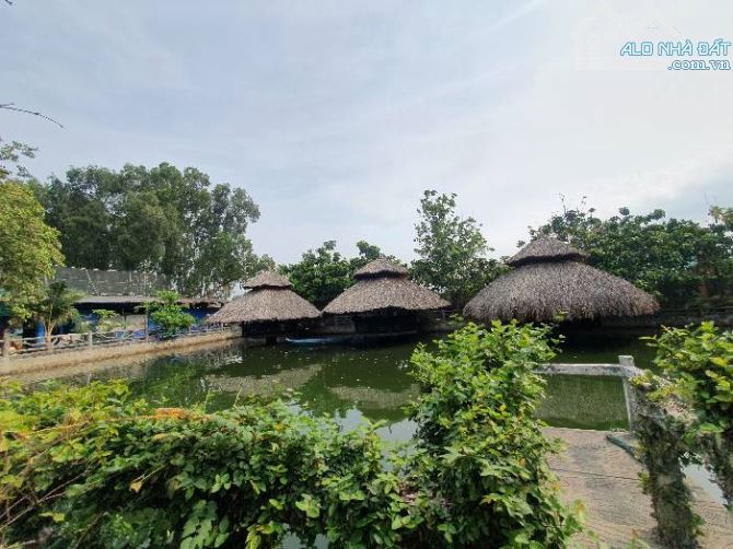 BÁN NHÀ HÀNG THỦ ĐỨC 14.000M2, ĐẸP NHƯ KHU DU LỊCH, DÒNG TIỀN 10 TỶ/TH. GIÁ 17 TRIỆU/M2 - 3