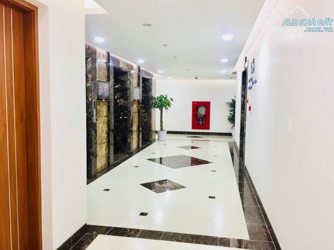 BQL cho thuê văn phòng tòa Mỹ Đình Plaza 2 Nguyễn Hoàng, Nam Từ Liêm 262m2 giá 11 - 3