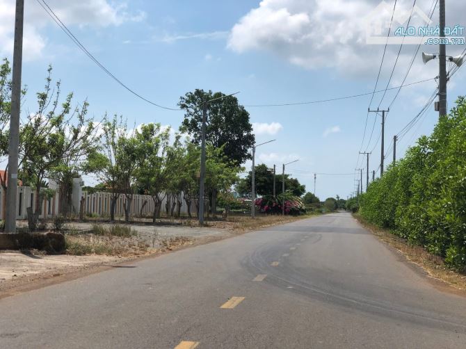 ĐẤT VIEW SUỐI - NGAY MẶT HỒ LỒ Ô - LONG TÂN-5421 M2 - 3