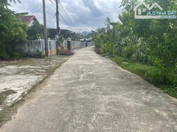 🔥BÁN VƯỜN CÂY ĂN TRÁI GẦN NHA TRANG🔥 - 3