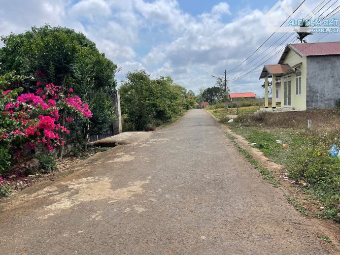 Đất Komleo Hoà Thắng gần đại lộ đông tây đi vào - 3