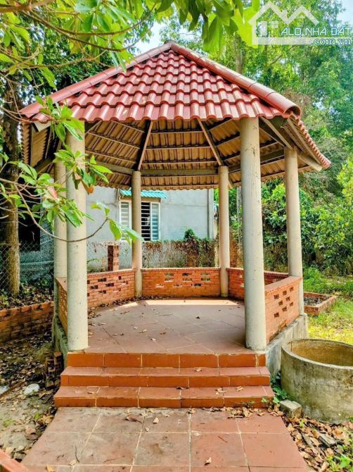 Bán nhà vườn view đẹp ở đức hoà long an giá 2,850 tỷ - 3