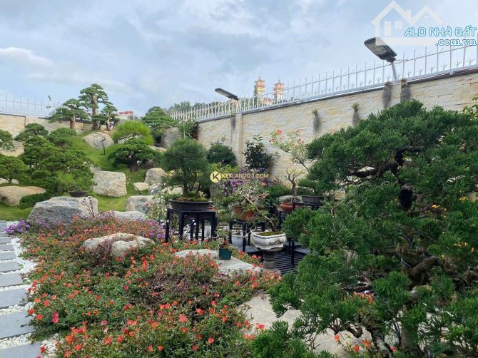 BÁN NHÀ NGAY TRUNG TÂM P11 ĐÀ LẠT - 3
